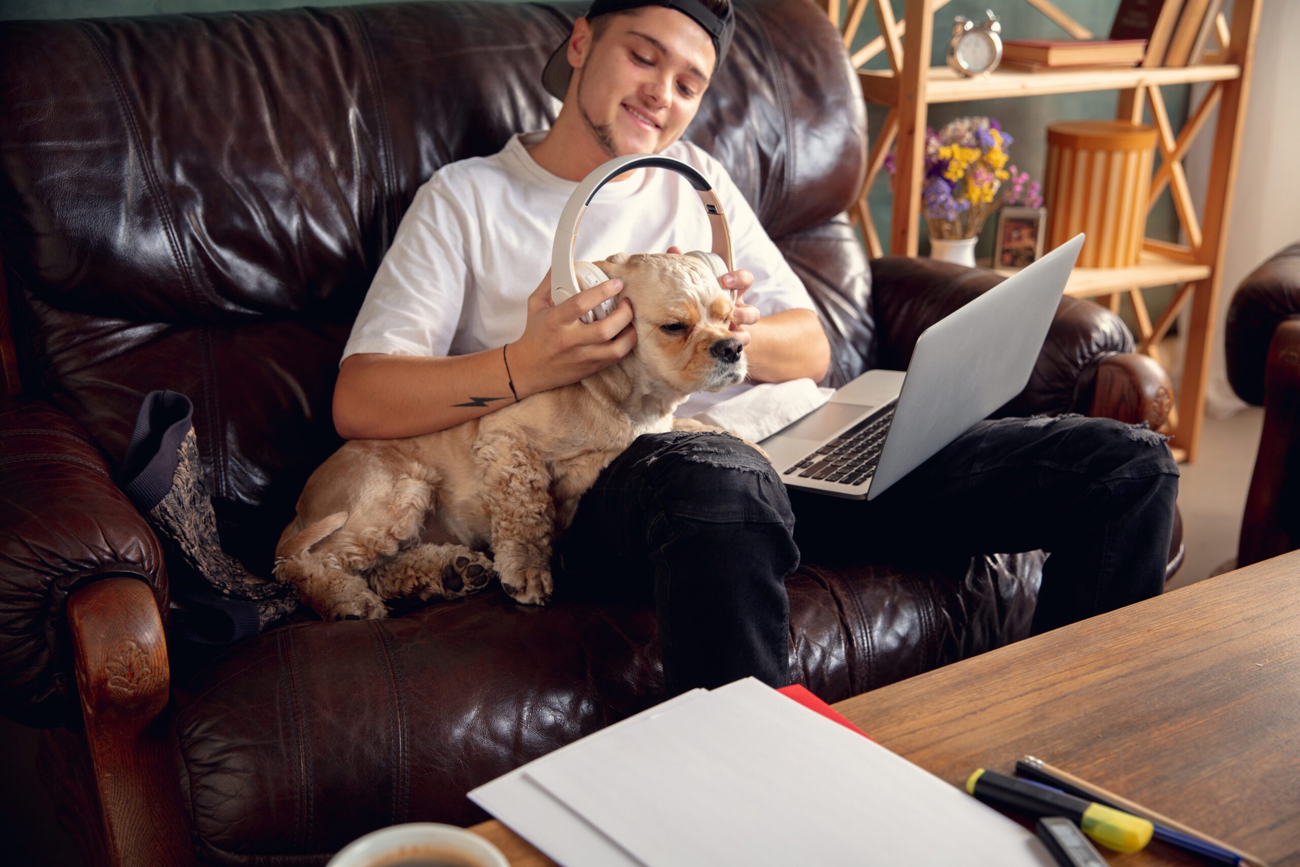 Young handsome man sitting on brown sofa and working with his cute dog, pet American Cocker Spaniel during coronavirus or Covid-19 quarantine. Cozy office workplace, remote work, e-learning concept.